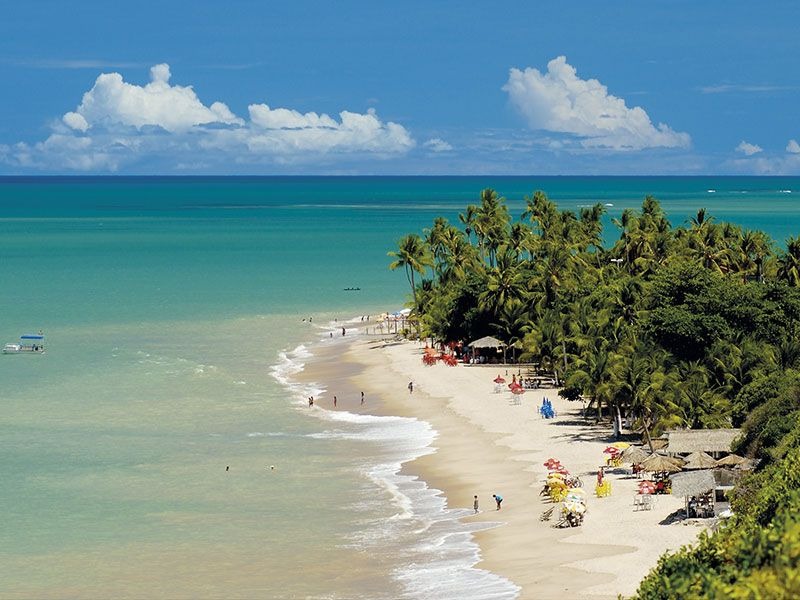 Imbassa�: el refugio tropical del nordeste brasile�o